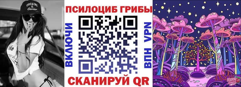 Псилоцибиновые грибы Psilocybe  Волосово 