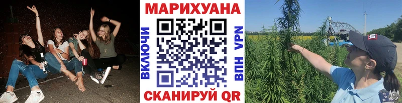 как найти   Волосово  Каннабис VHQ 